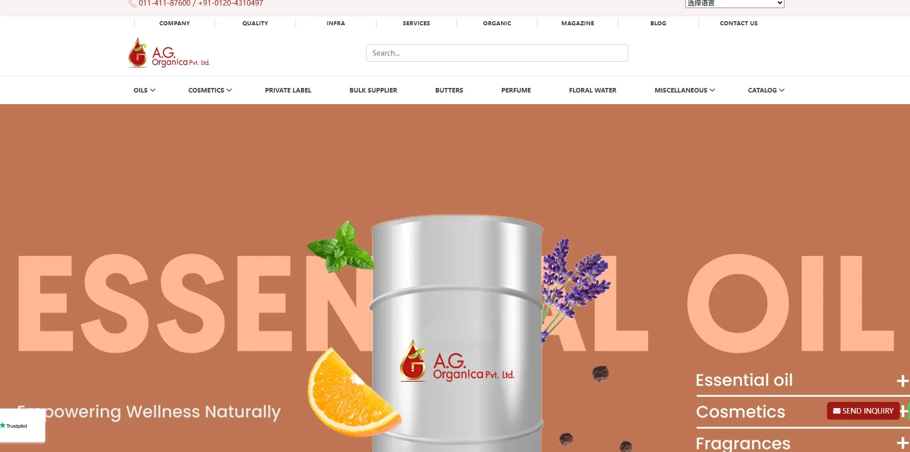 The Top 10 Beauty Product Manufacturers in India